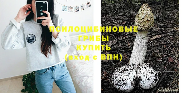 гашик Осташков