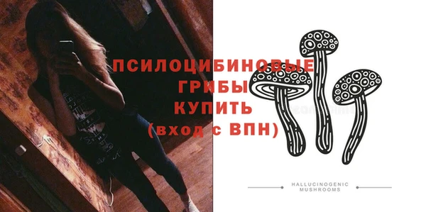 дживик Арсеньев
