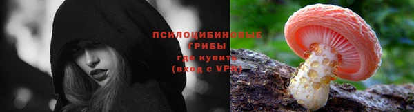 дживик Арсеньев